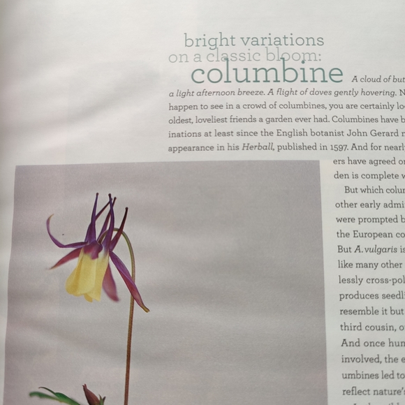 Y2K | Martha Stewart Living magazine June 2003 - Picture 9 of 14